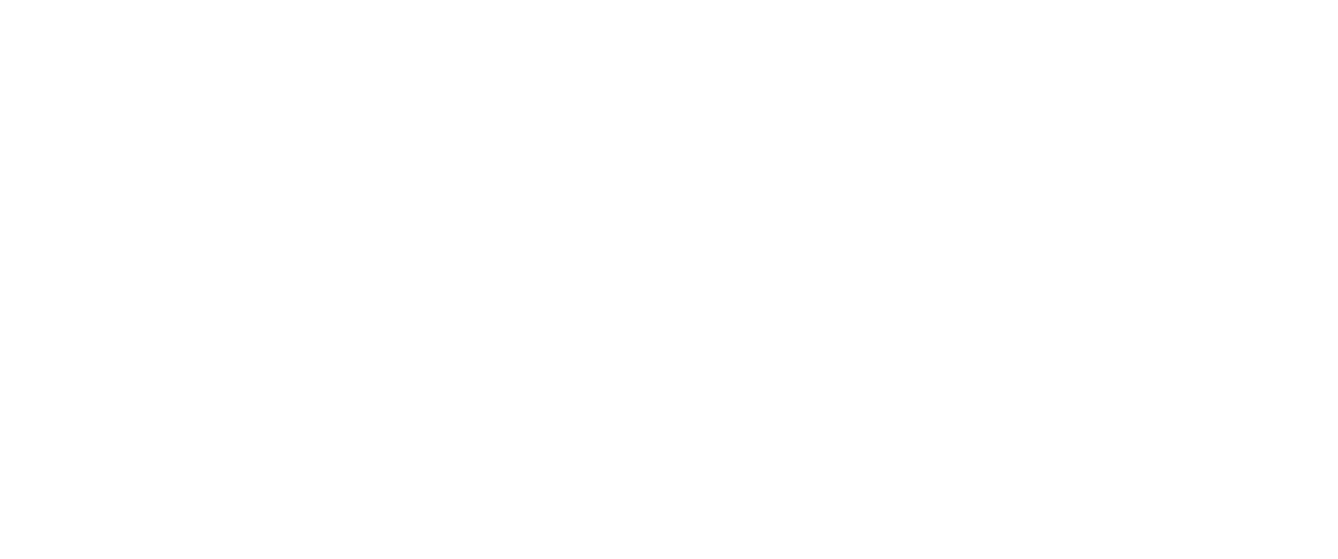ANDI del Futuro